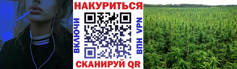 Магазин наркотиков Гаврилов Посад MDMA  А ПВП  Меф  Амфетамин  Бошки Шишки  ГАШ  Cocaine 
