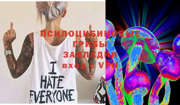 тгк Новозыбков