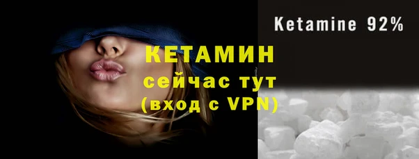 тгк Новозыбков