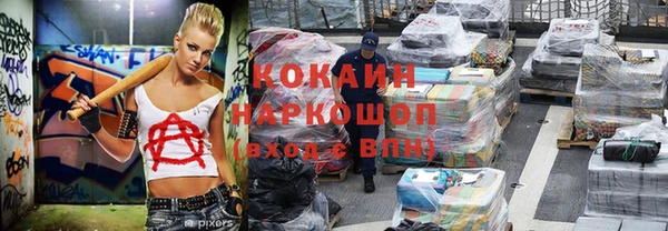 тгк Новозыбков