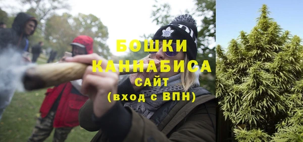 тгк Новозыбков