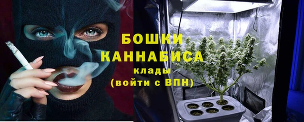 тгк Новозыбков