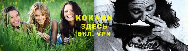 наркотики Новодвинск