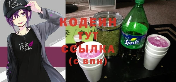 тгк Новозыбков