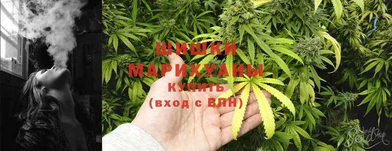 Бошки марихуана SATIVA & INDICA  дарнет шоп  Гаврилов Посад 